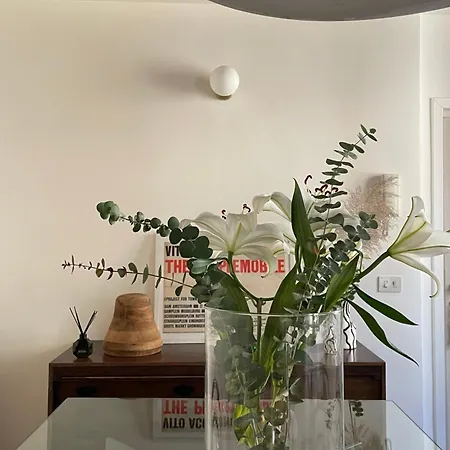 Design Apartment